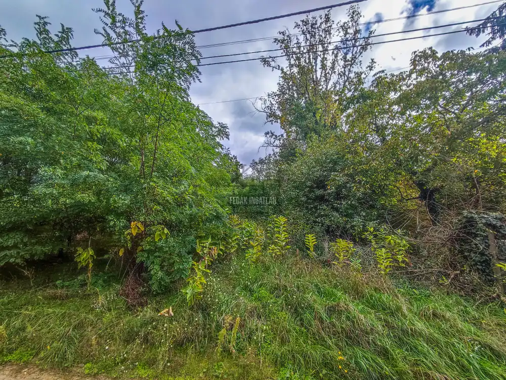 Pest megye - Csömör