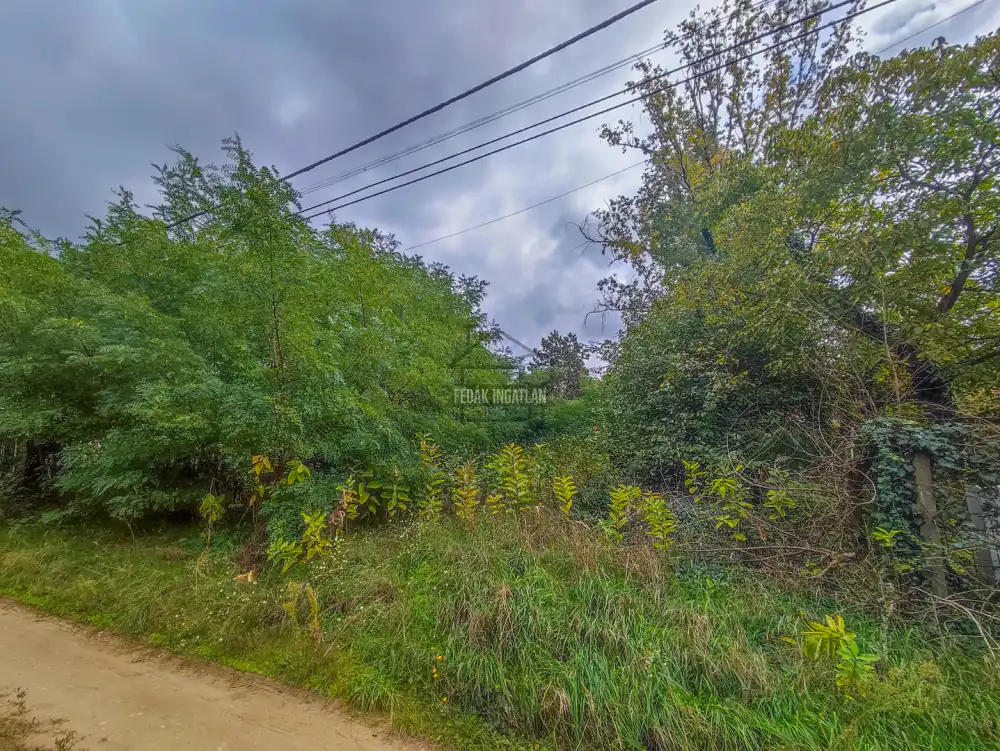 Pest megye - Csömör