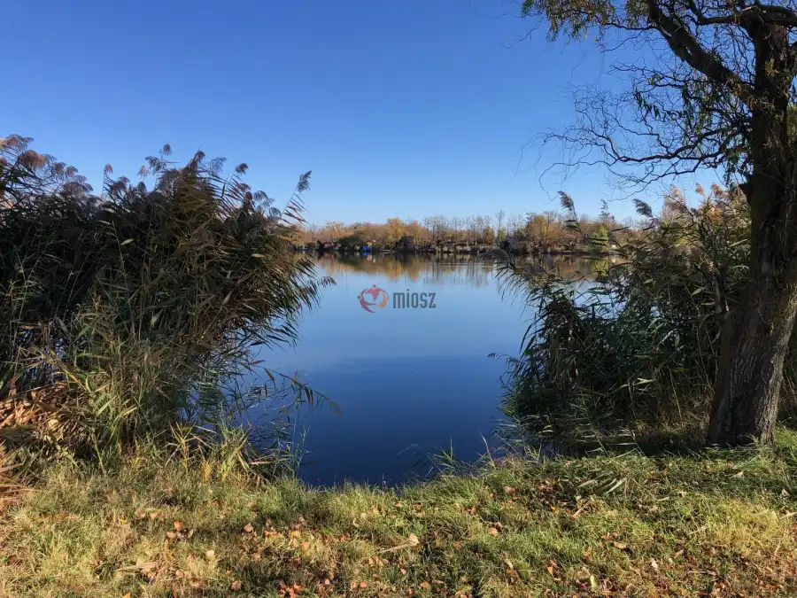 eladó  Építési telek, Békés