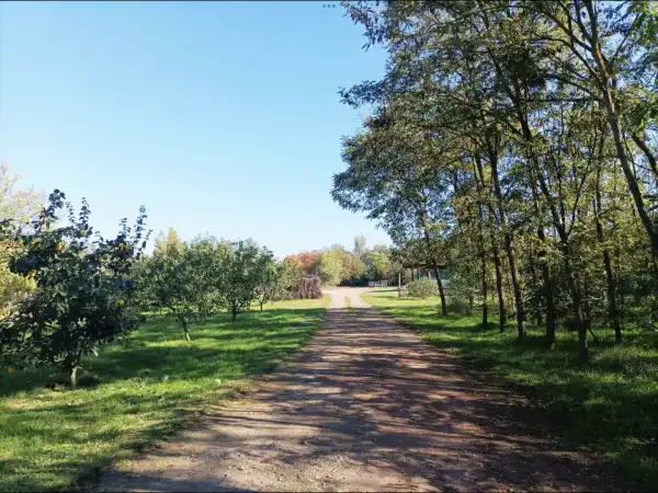 Eladó Építési telek, Békéscsaba 3000 m² 32.5 M Ft