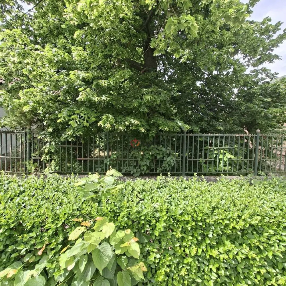 Fejér megye - Bicske