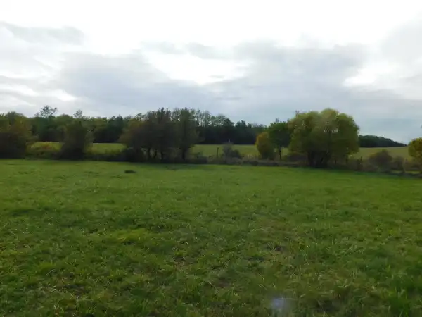 Eladó Építési telek, Bodony 573 m² 4.5 M Ft Eladó Építési telek, Bodony 573 m² 4.5 M Ft