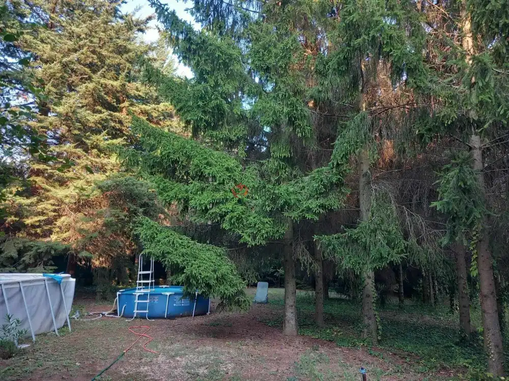 Pest megye - Budakeszi