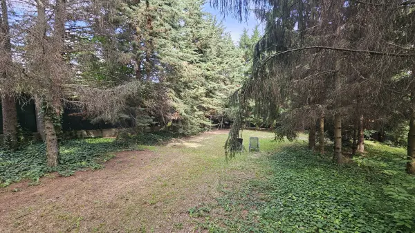 Eladó Építési telek, Budakeszi 2006 m² 110 M Ft