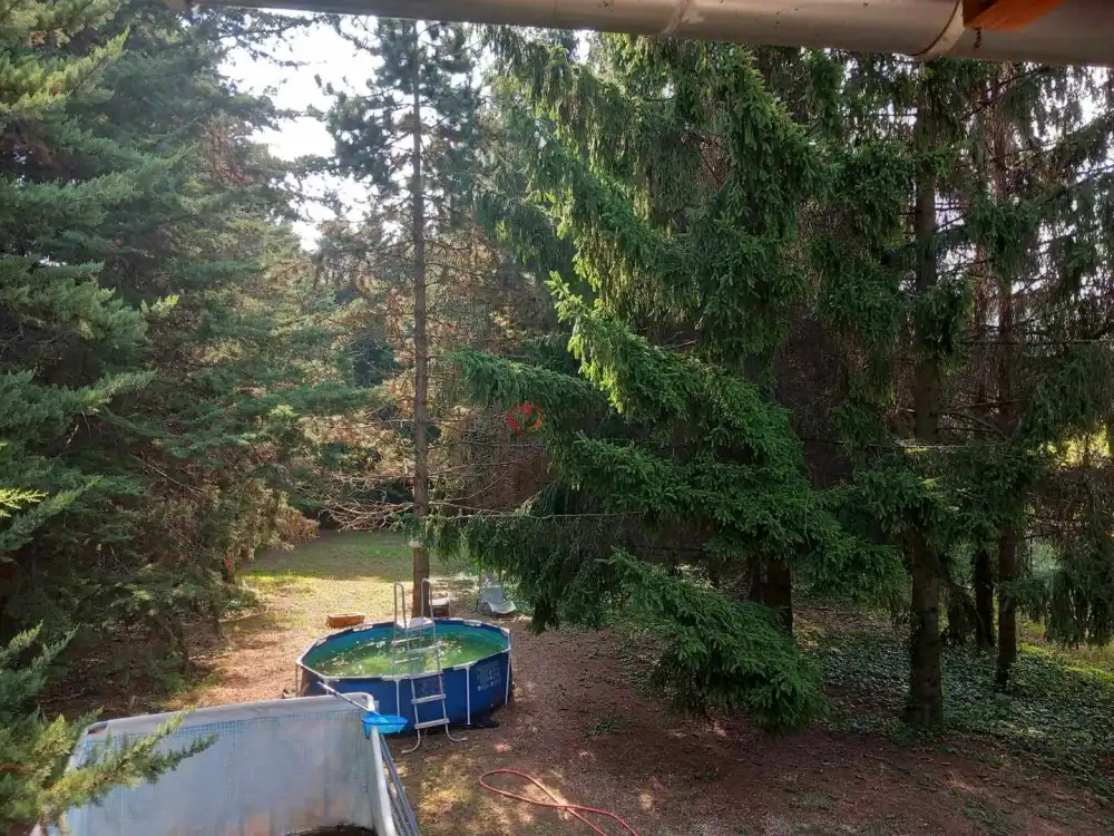 Pest megye - Budakeszi