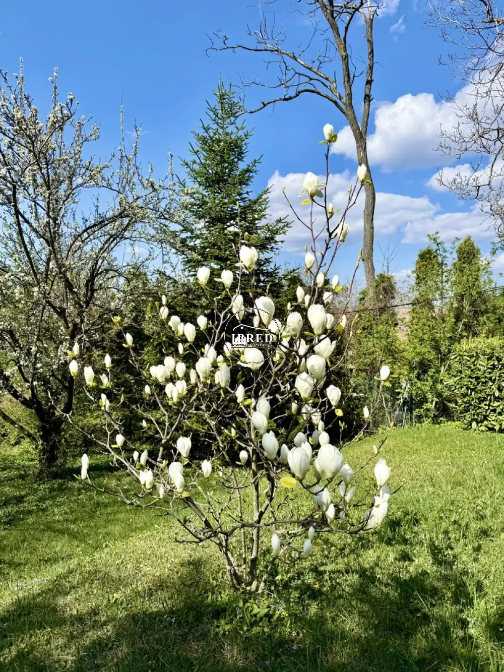 Budapest, XII. kerület - Virányos