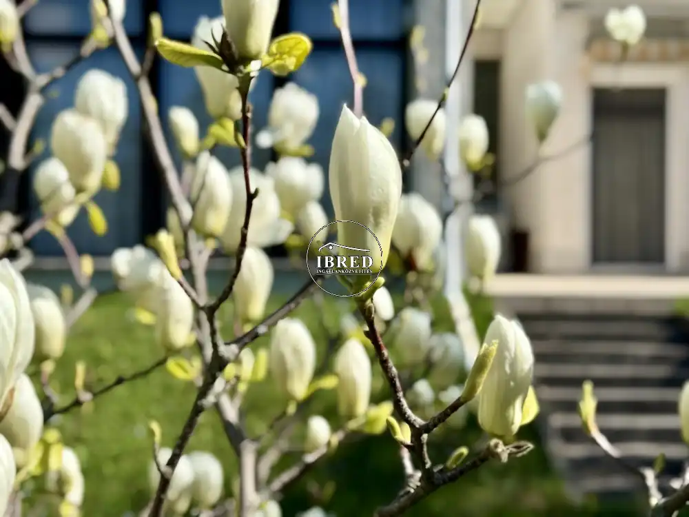 Budapest, XII. kerület - Virányos