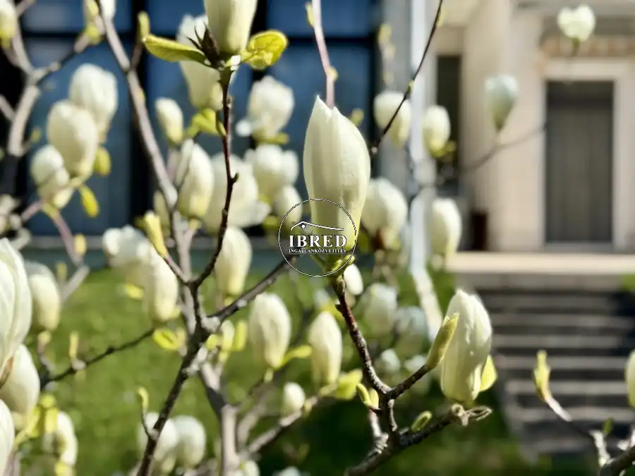 eladó  Építési telek, Budapest, XII. kerület