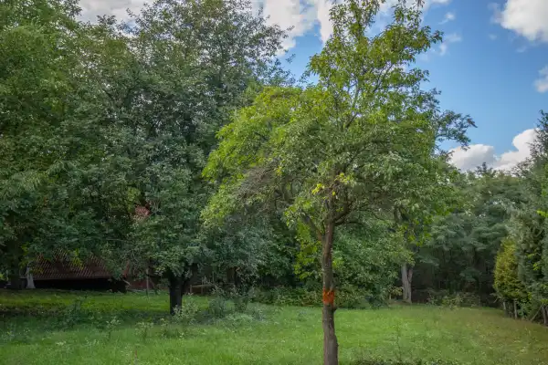 Eladó Építési telek, Csömör 903 m² 25 M Ft