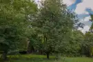Pest megye - Csömör