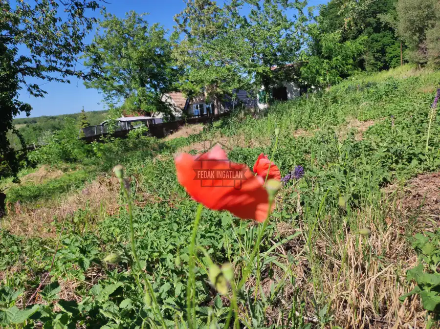 eladó  Építési telek, Csömör