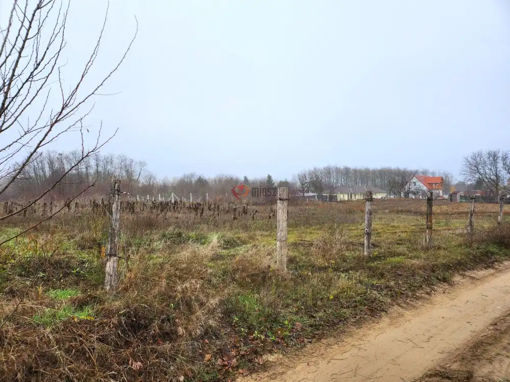 Pest megye - Dabasiszőlők