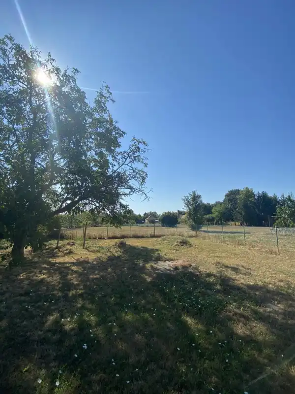 Eladó Építési telek, Daruszentmiklós 1809 m² 4 M Ft