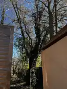 Pest megye - Dömsöd