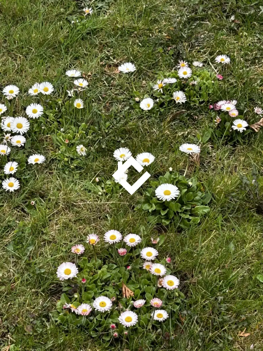eladó  Építési telek, Dömsöd