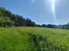 Vas megye - Farkasfa