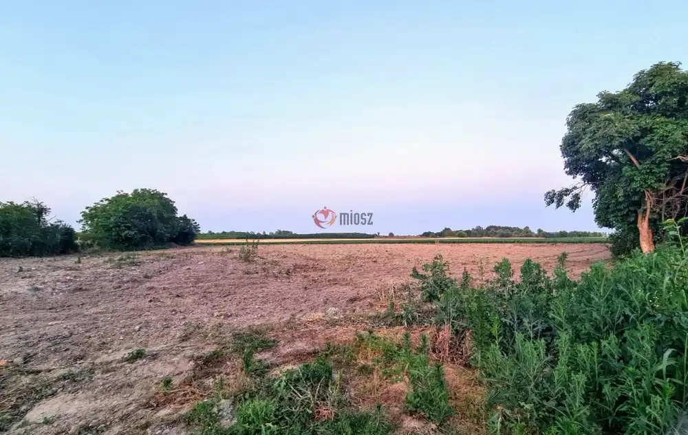 Bács-Kiskun megye - Foktő