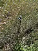 Pest megye - Gödöllő