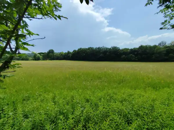 Eladó Építési telek, Kercaszomor 18671 m² 35 M Ft