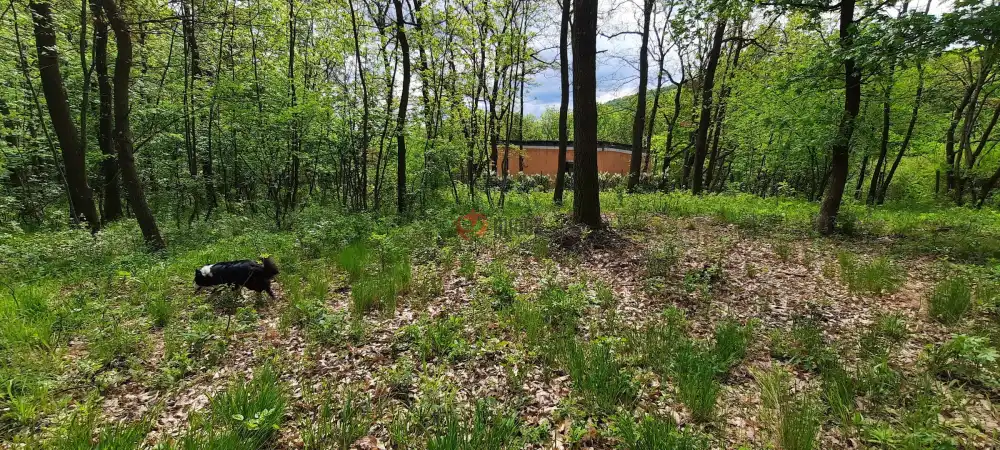 Pest megye - Kismaros