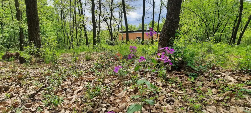 Pest megye - Kismaros