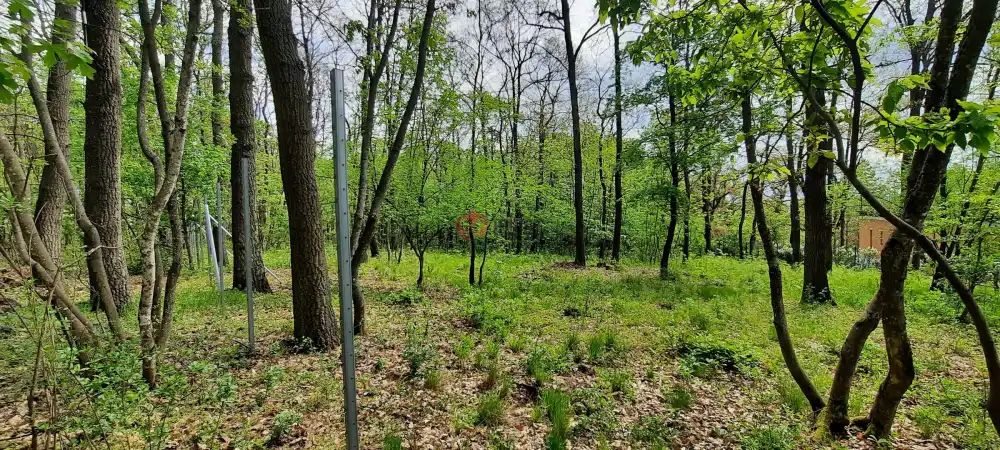 Pest megye - Kismaros