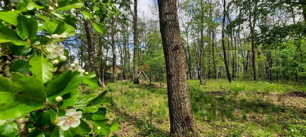 Pest megye - Kismaros