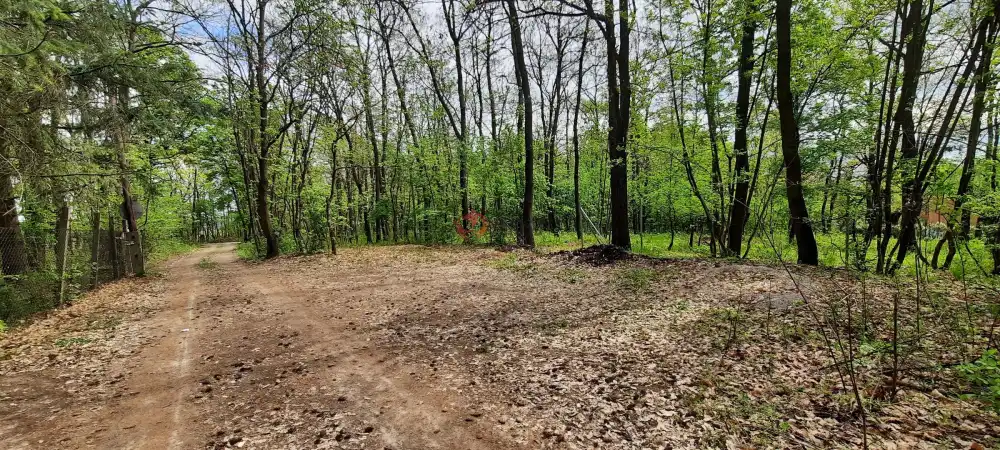 Pest megye - Kismaros