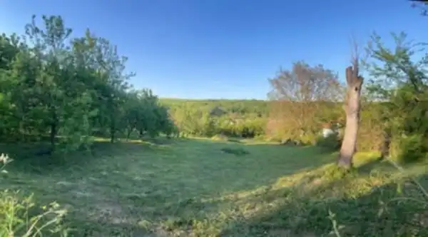 Eladó Építési telek, Kisnémedi 2650 m² 28 M Ft