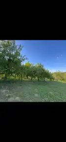 Pest megye - Kisnémedi