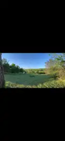 Pest megye - Kisnémedi