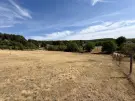 Pest megye - Kosd