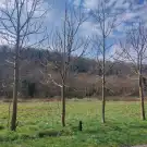 Veszprém megye - Lesencefalu