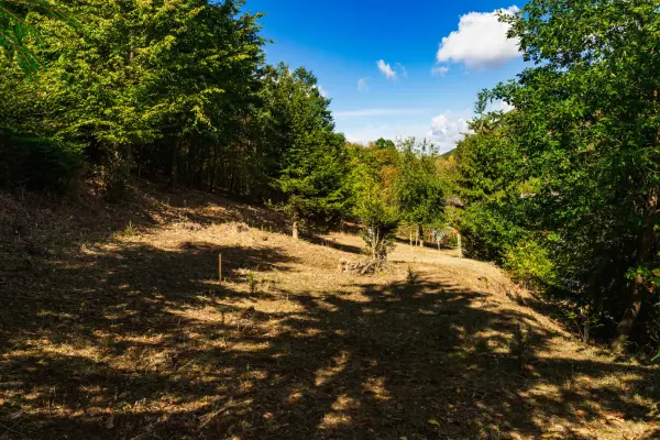 Eladó Építési telek, Mátrakeresztes 598 m² 12 M Ft