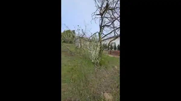 Eladó Építési telek, Mogyoród 788 m² 59.4 M Ft