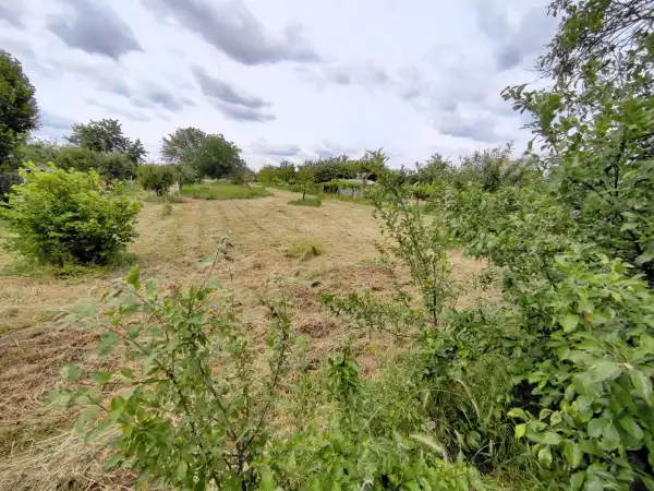 Eladó Építési telek, Mohács 4470 m² 4.2 M Ft