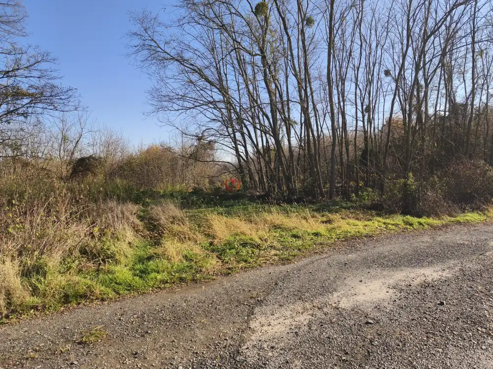 Zala megye - Nagypáli