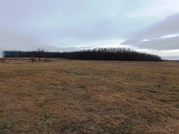 Eladó Építési telek, Őrbottyán 1314 m² 9 M Ft + Áfa