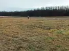 Pest megye - Őrbottyán