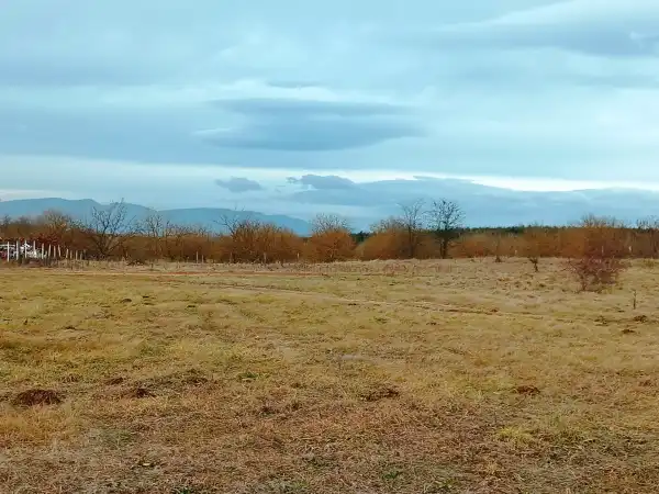 Eladó Építési telek, Őrbottyán 1313 m² 9 M Ft + Áfa