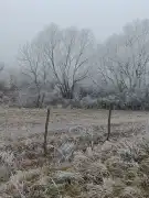 Pest megye - Őrbottyán