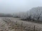 Pest megye - Őrbottyán