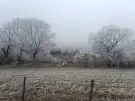 Pest megye - Őrbottyán