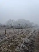 Pest megye - Őrbottyán