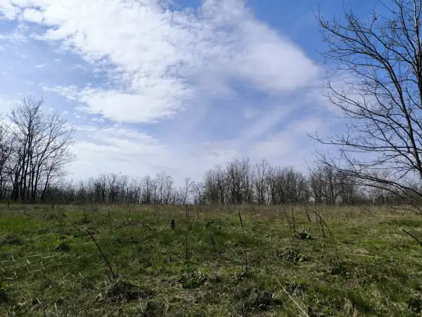 Eladó Építési telek, Paks 10 m² 95 M Ft