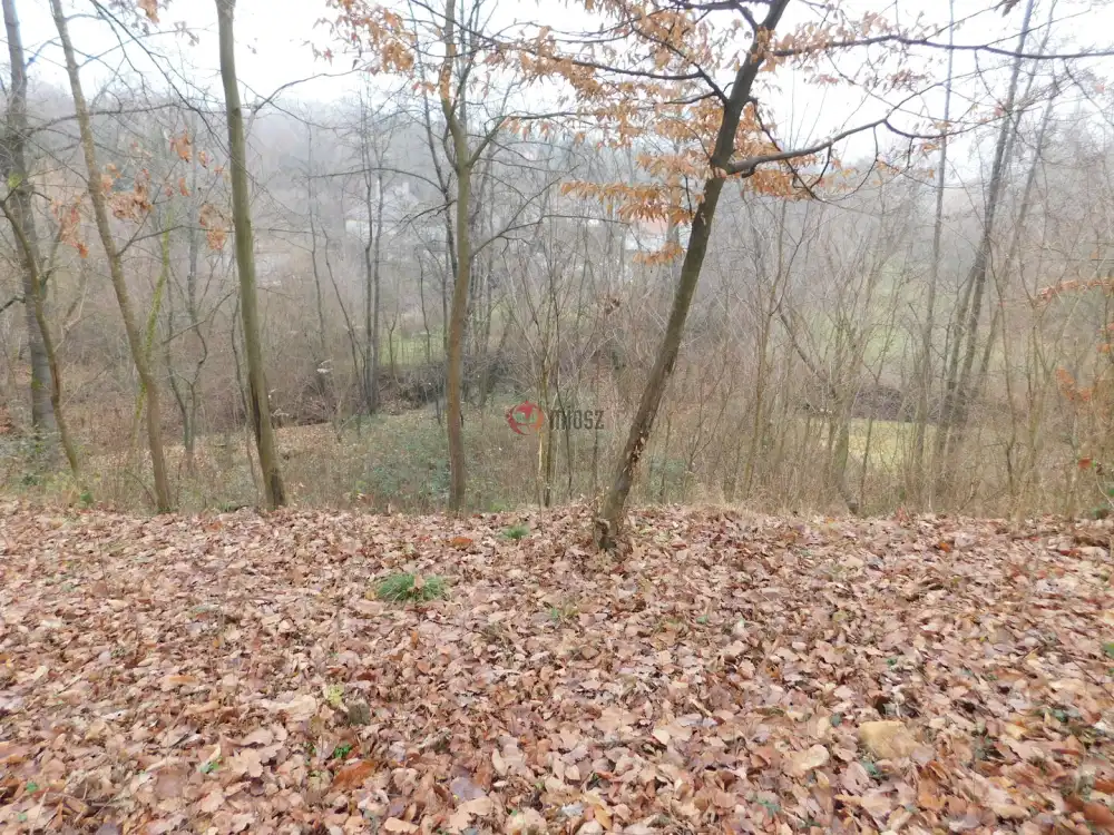 Heves megye - Parád