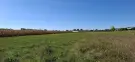 Vas megye - Püspökmolnári