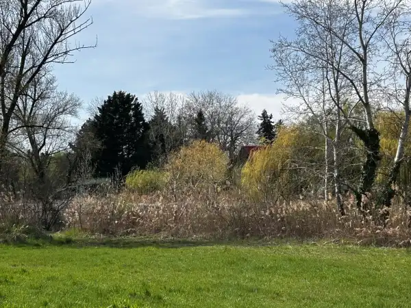 Eladó Építési telek, Ráckeve 600 m² 12.5 M Ft
