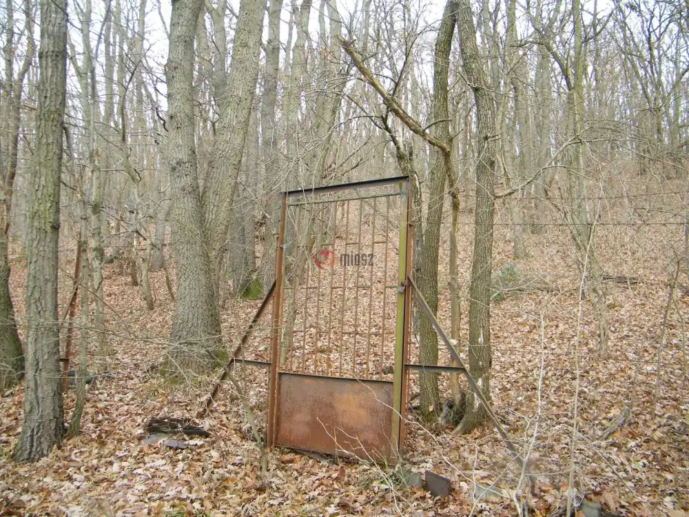 Pest megye - Remeteszőlős