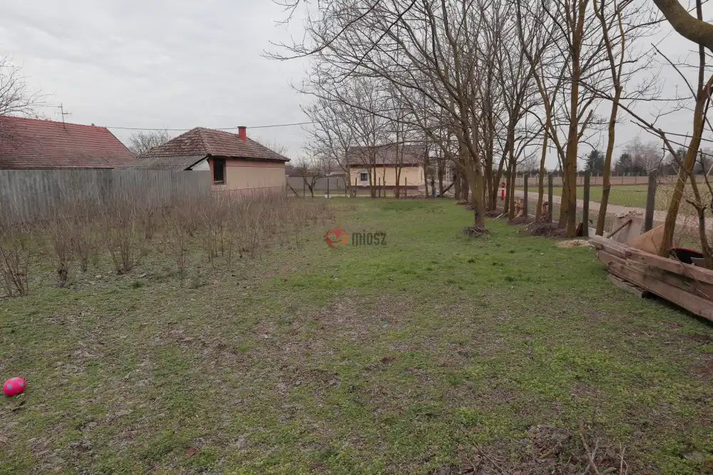 Csongrád megye - Sándorfalva